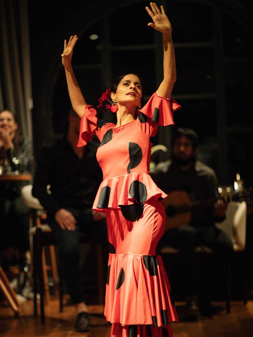 Noche flamenca (14)